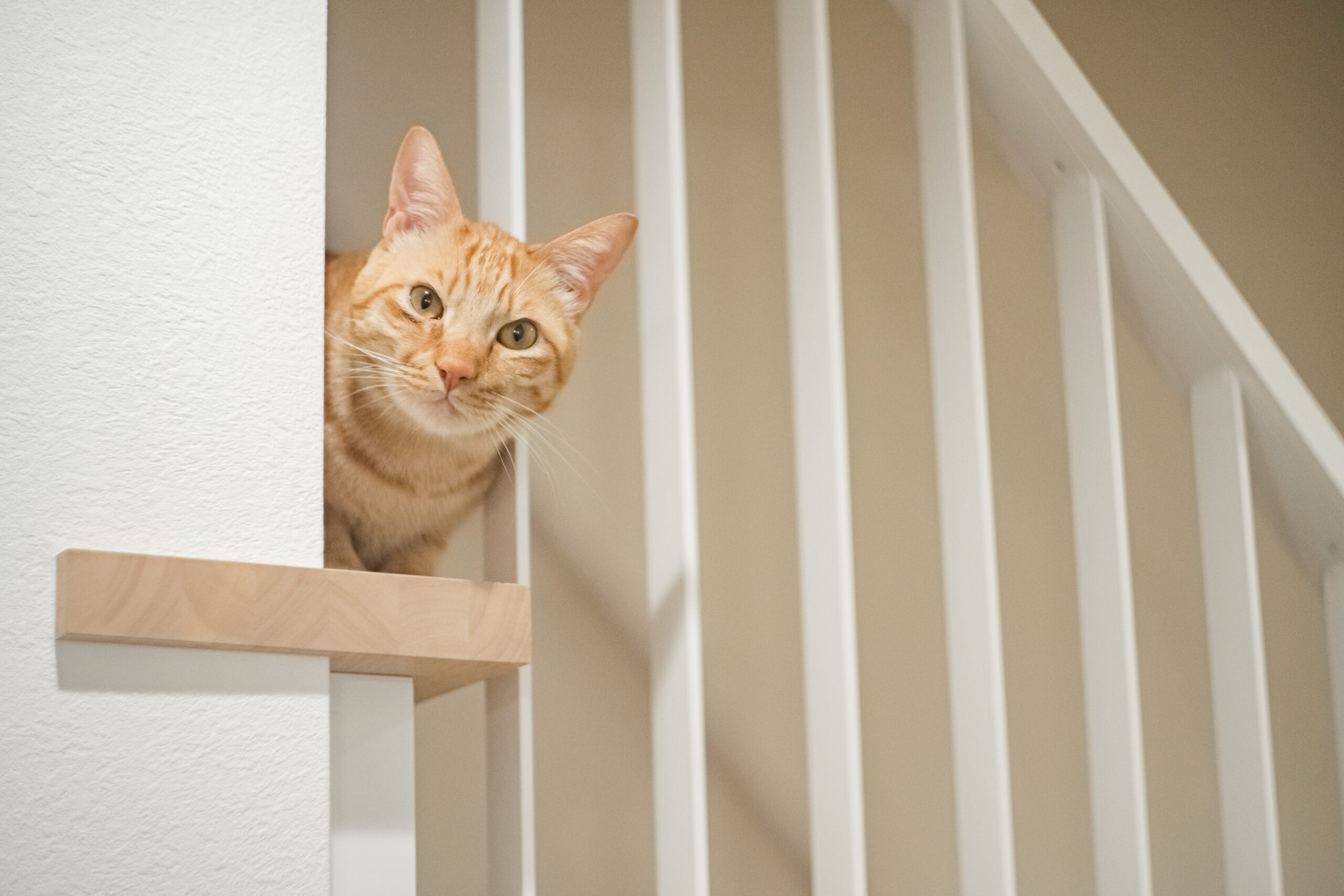 来年の新生活に向けてリノベーションしませんか?🏠