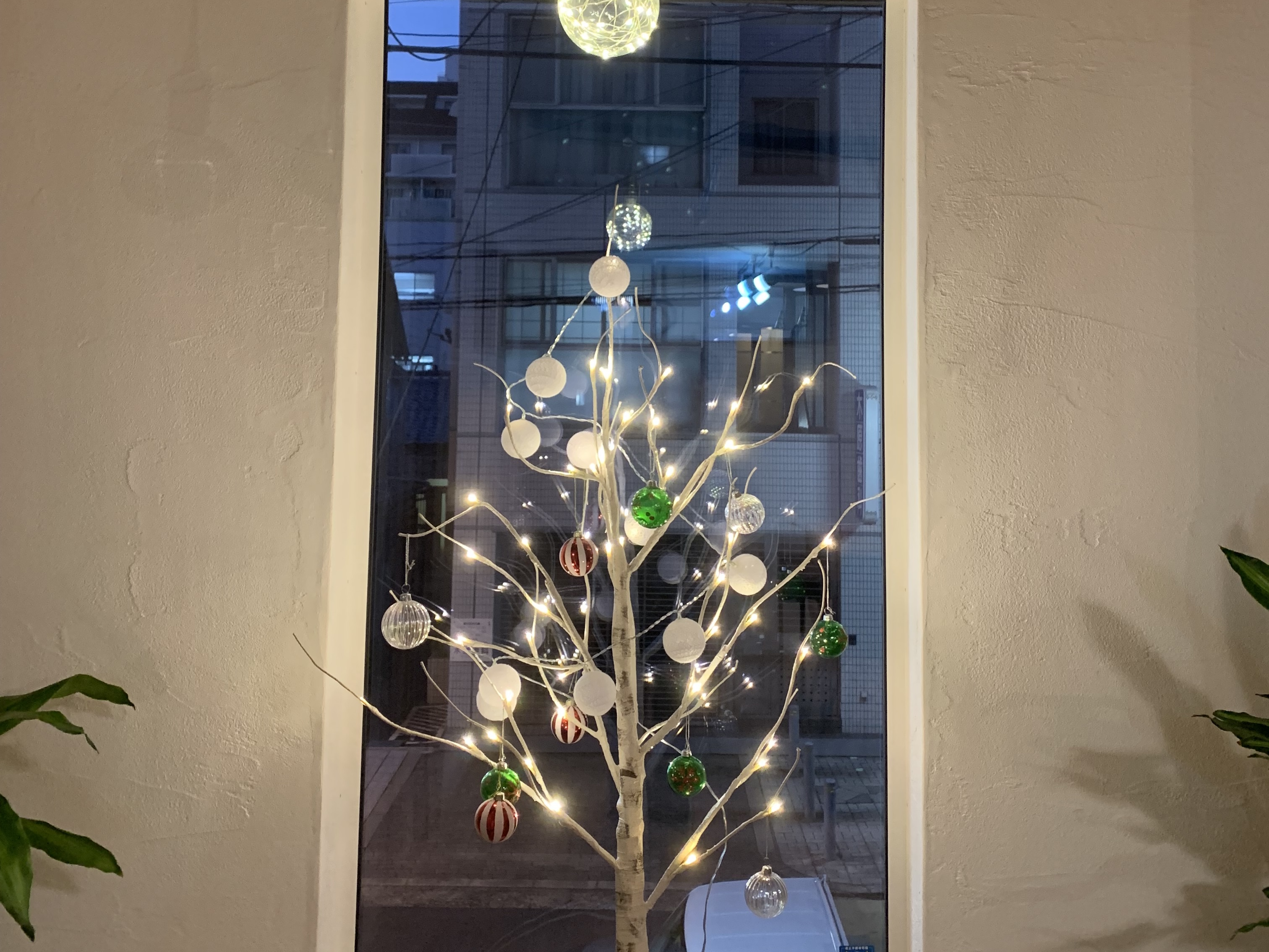 お打ち合わせスペースにクリスマスツリーを飾りました🎄🌟